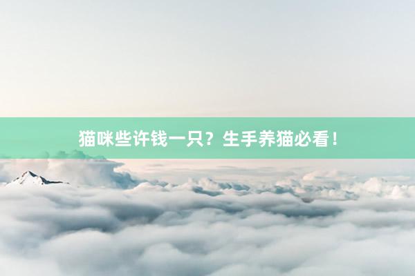 猫咪些许钱一只？生手养猫必看！